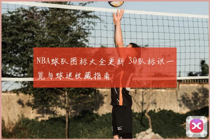 NBA球队图标大全更新 30队标识一览与球迷收藏指南