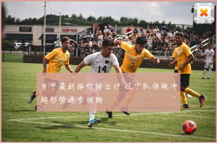 中甲最新排行榜出炉 辽宁队领跑冲超形势逐步明朗