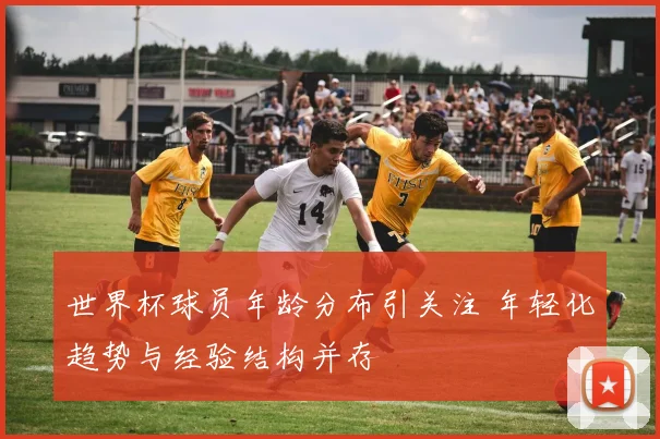 世界杯球员年龄分布引关注 年轻化趋势与经验结构并存