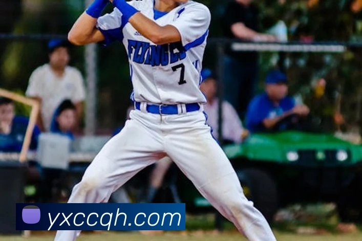 米兰体育官网登陆发展历程